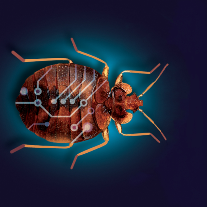 Ibug logo